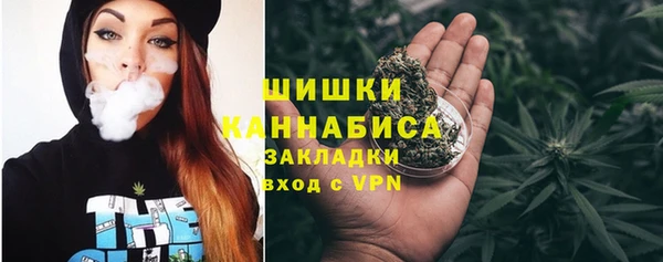 ГАЛЛЮЦИНОГЕННЫЕ ГРИБЫ Карабаш