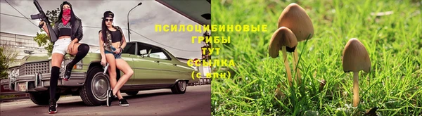меф VHQ Козловка