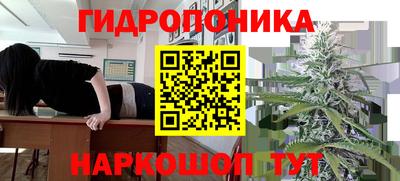 сатива Гусев