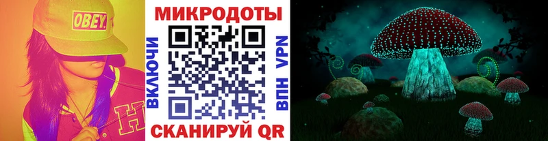 Галлюциногенные грибы Psilocybe  МЕГА как войти  Мелеуз  хочу  