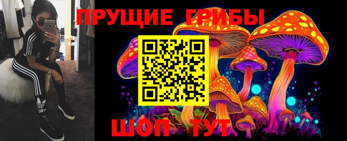 Галлюциногенные грибы Cubensis Мелеуз