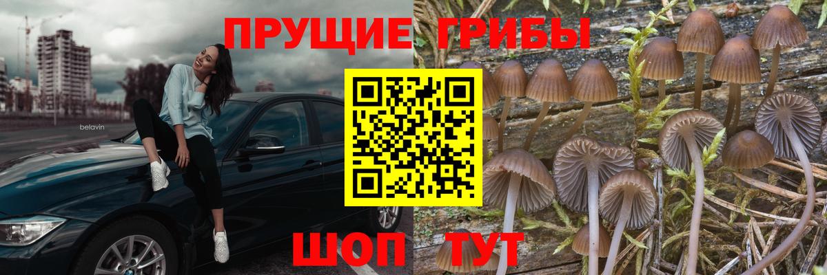 Галлюциногенные грибы ЛСД  Вход с VPN  Мелеуз 